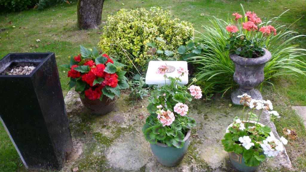 Hopewell Self-Catering Lejlighed Gravesend Eksteriør billede